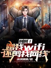 ̰wifi